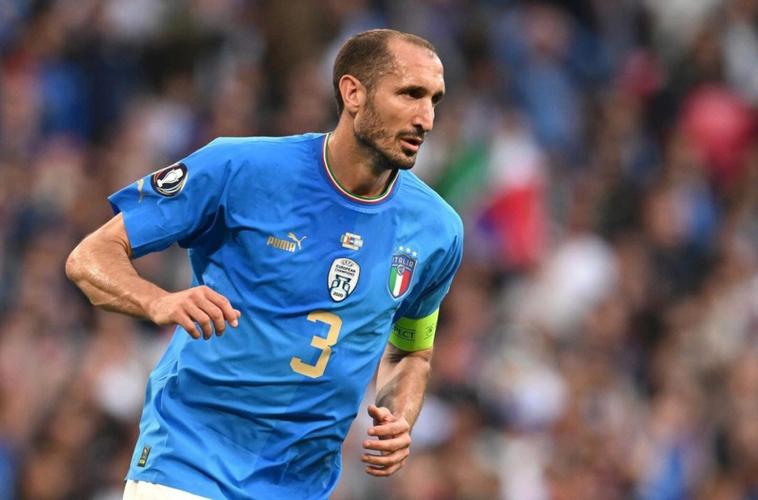 2012年欧洲杯上的基耶利尼：意大利防线上的核心领袖