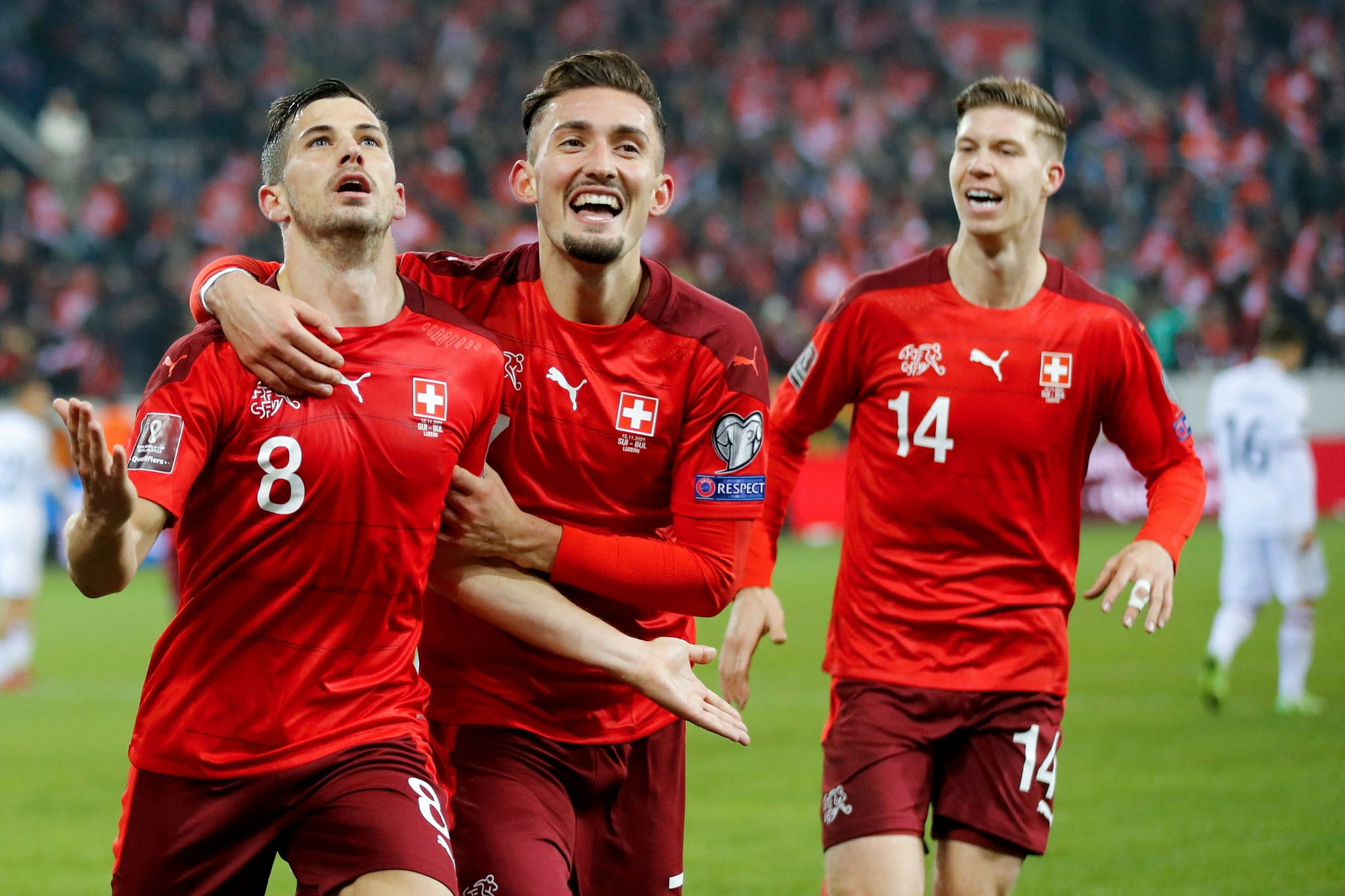 2024欧洲杯瑞士队：稳健之师，锐意进取